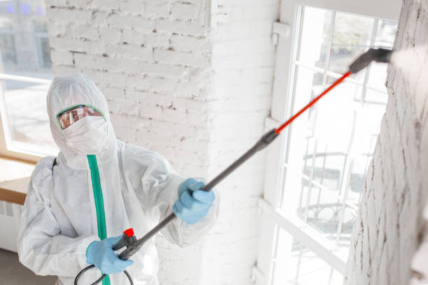 Best Crawl Space Mold Remediation  in Huachuca City, AZ