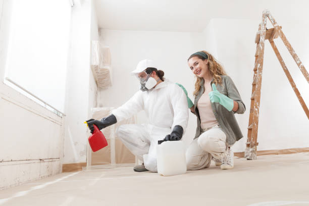Best Commercial Mold Inspection  in Huachuca City, AZ